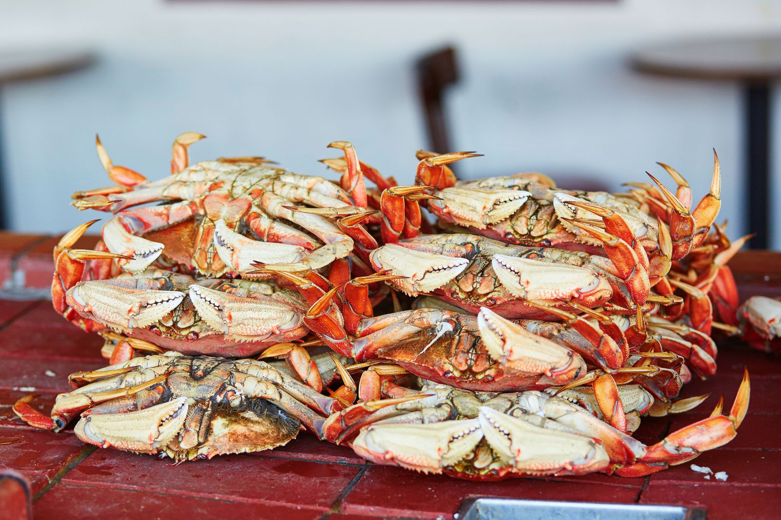 Fresh crabs at a market in Fisherman's Wharf, San Francisco