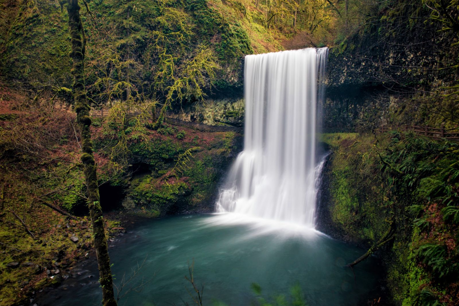 Silver Falls in Oregon