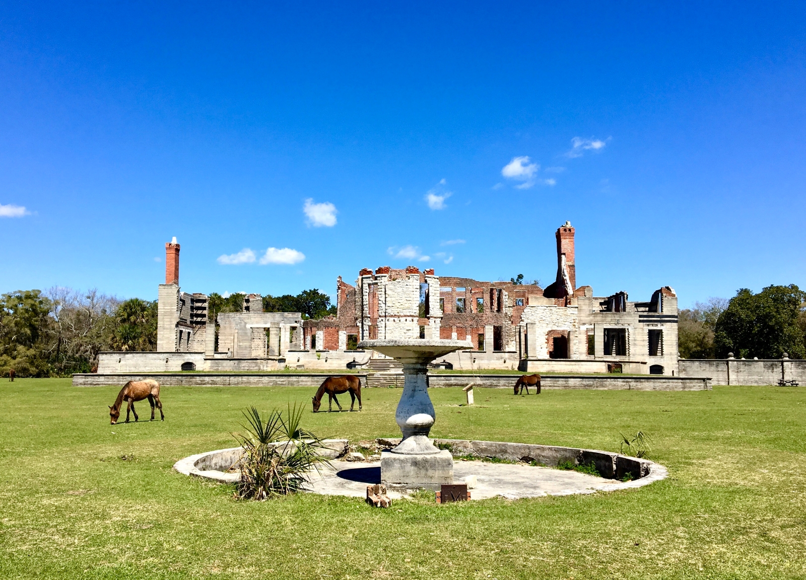 Horses grazing in front of ruins of a great house on Cumberland Island