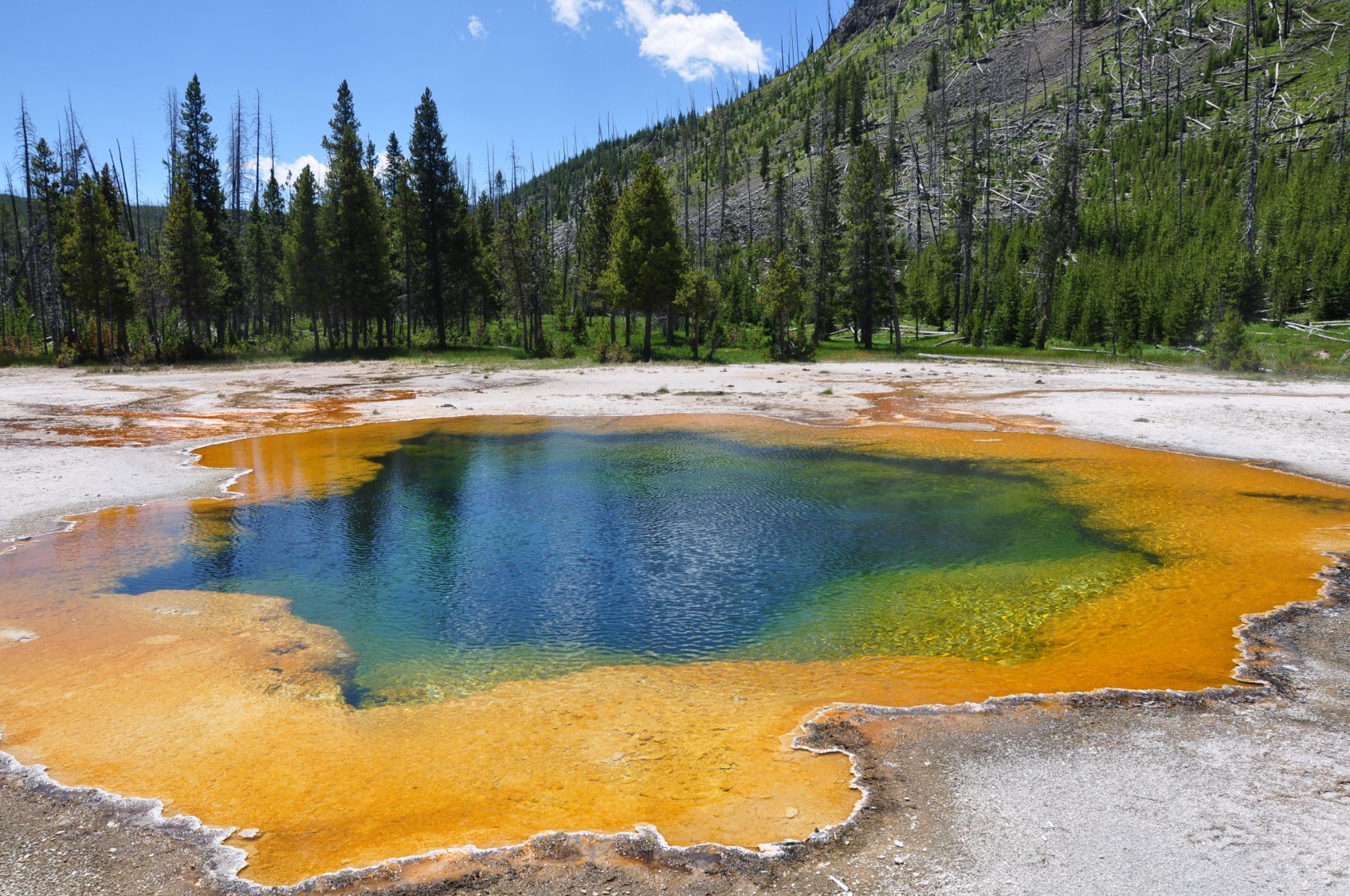 A geothermal pool in Yellowstone National Park  glowing yellow and green