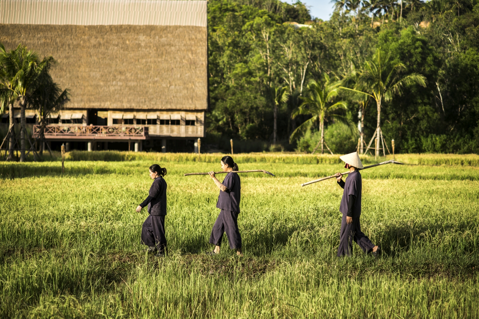 Three people walking through a rice paddie in the surroundings of luxury resort Zannier Bai San Ho in Vietnam