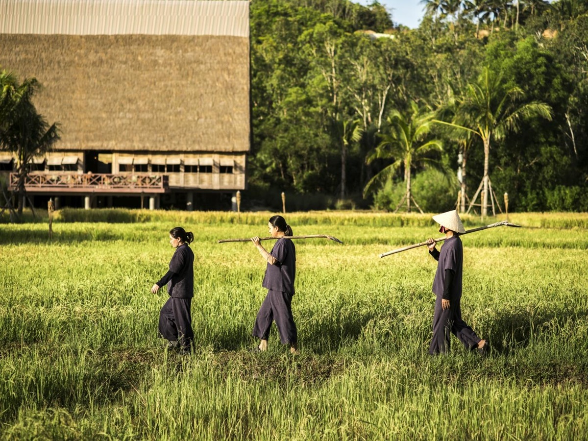Three people walking through a rice paddie in the surroundings of luxury resort Zannier Bai San Ho in Vietnam