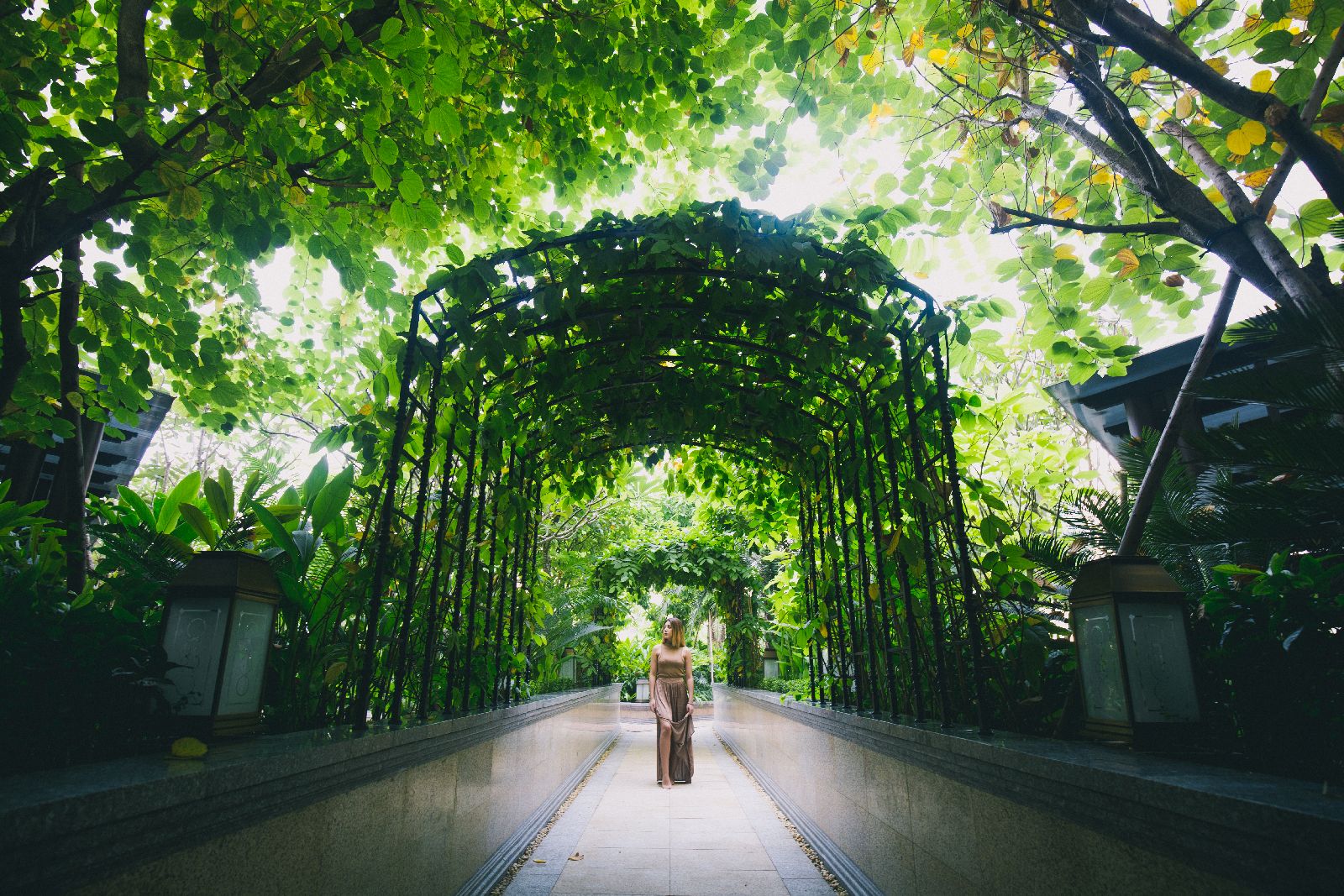 Green surrounds and grounds of the Park Hyatt Saigon in Vietnam