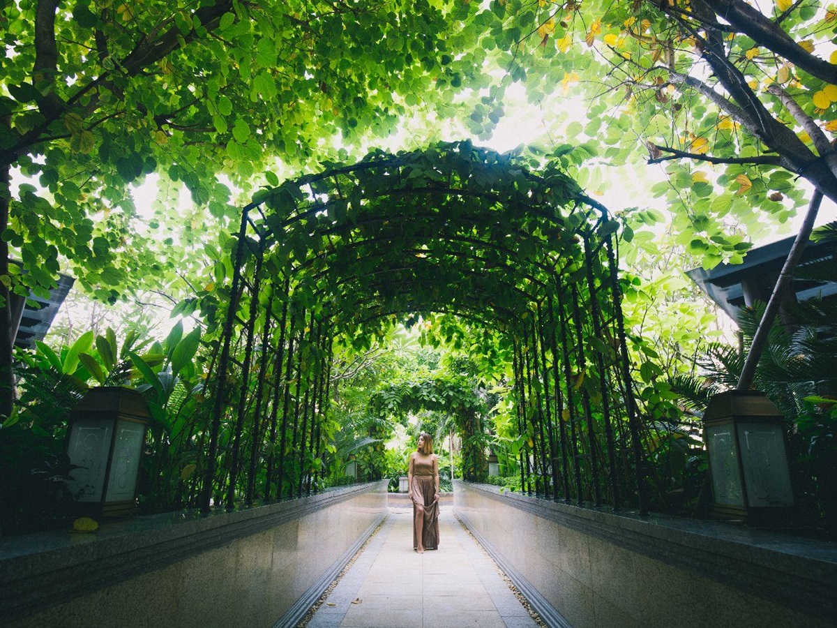 Green surrounds and grounds of the Park Hyatt Saigon in Vietnam