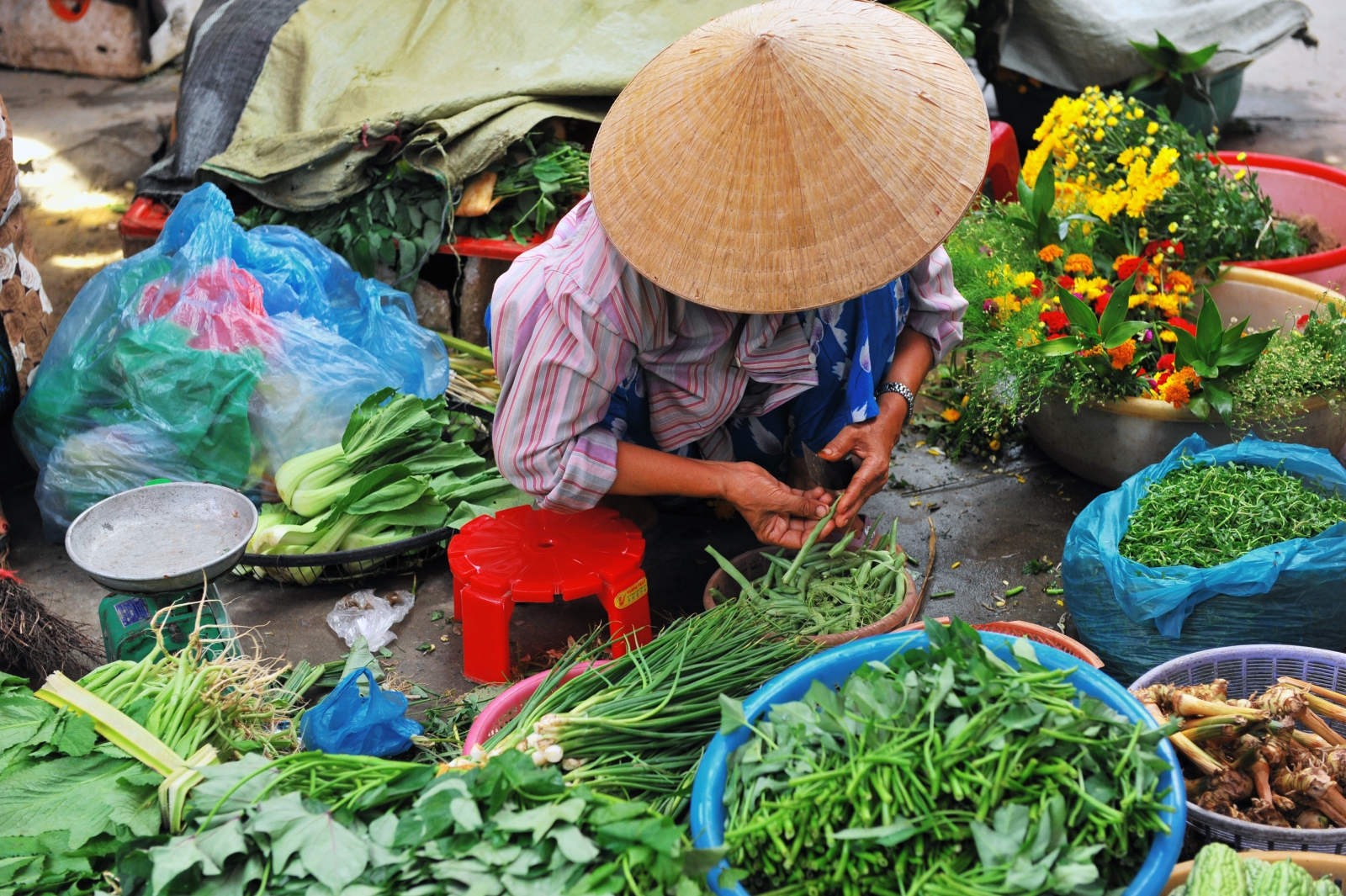 Saleswoman preparing vegetables and herbs at a Vietnamese market