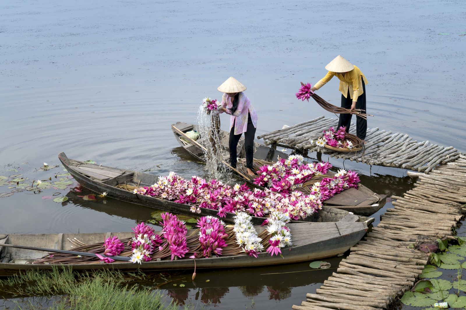 Local people in traditional dress gathering flowers on boats in Vietnam