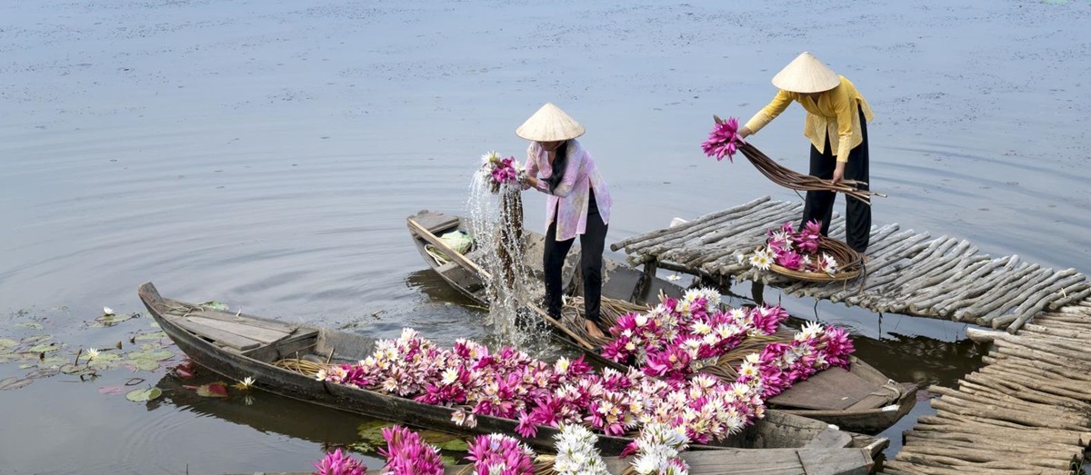 Local people in traditional dress gathering flowers on boats in Vietnam