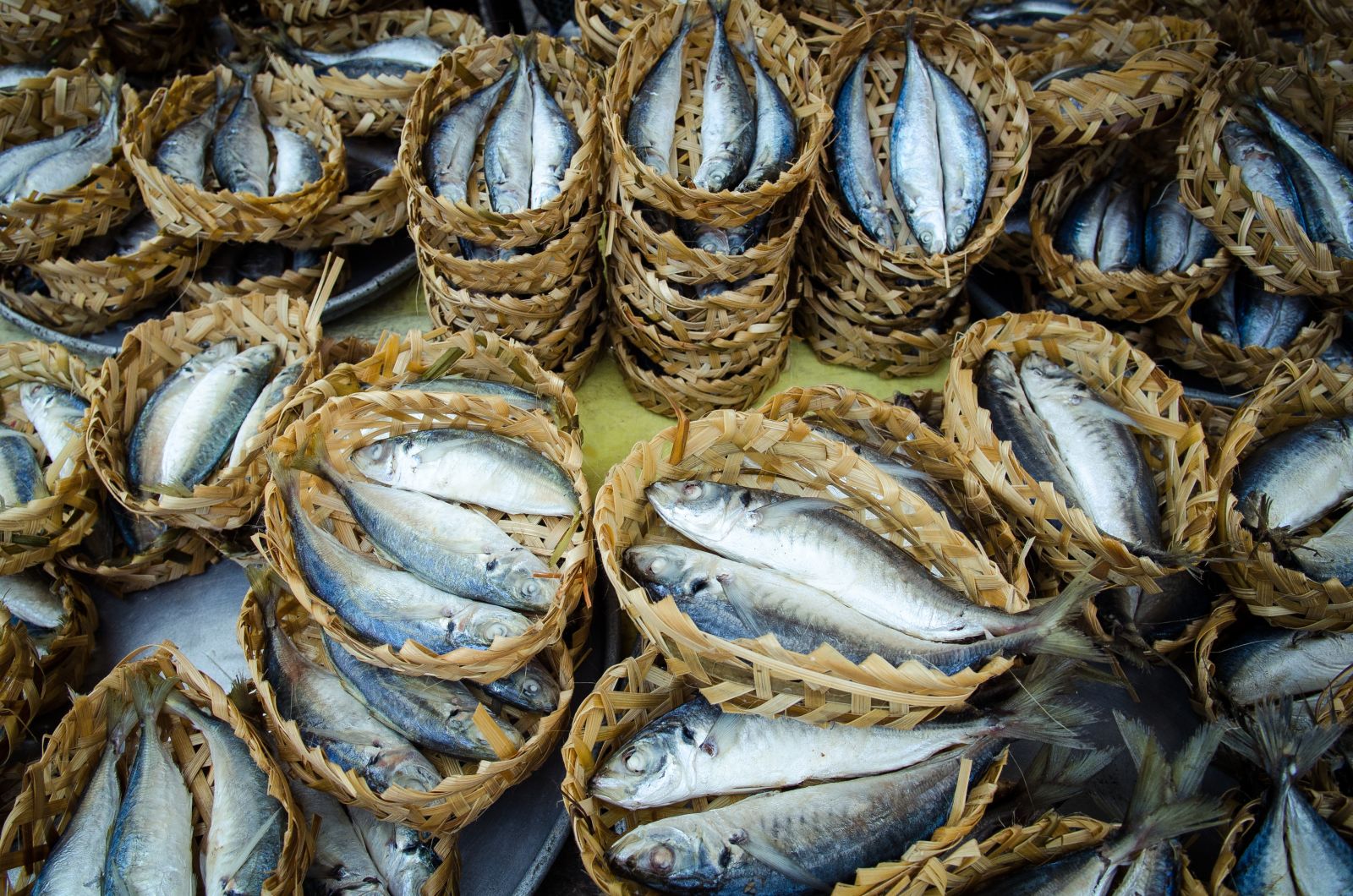 Freshly caught fish in baskets on the coast in Vietnam