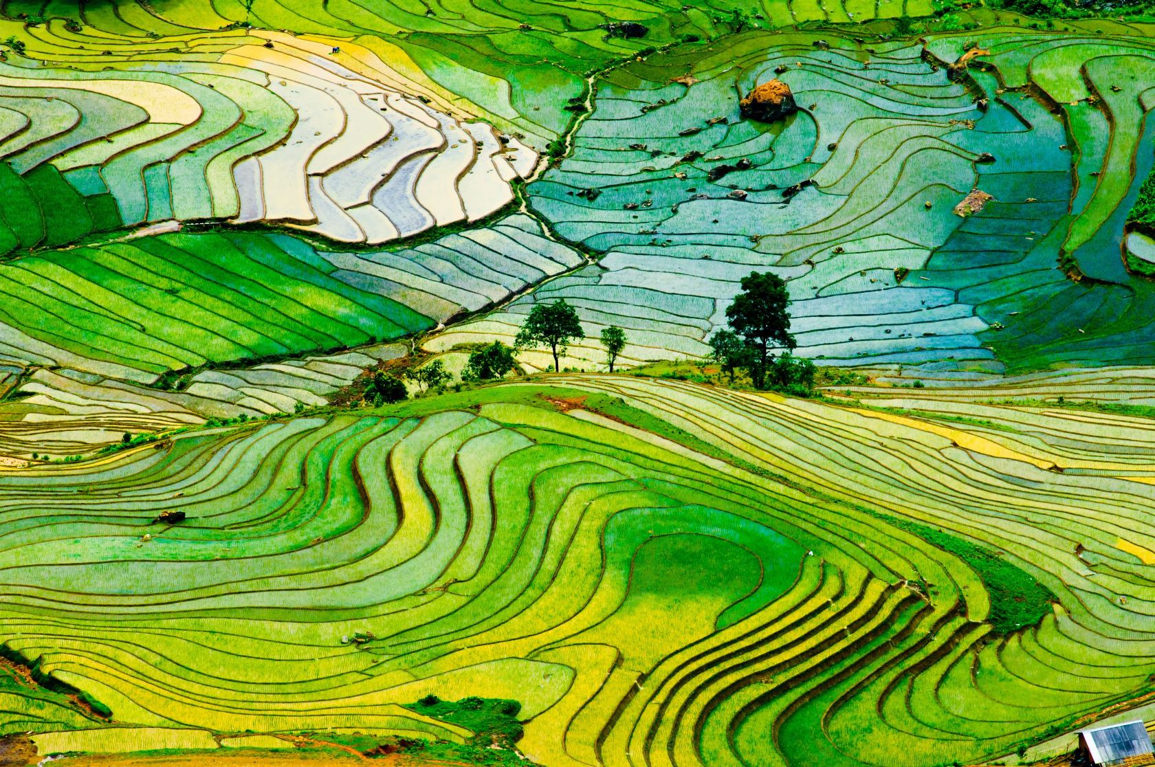 Laocai in Vietnam