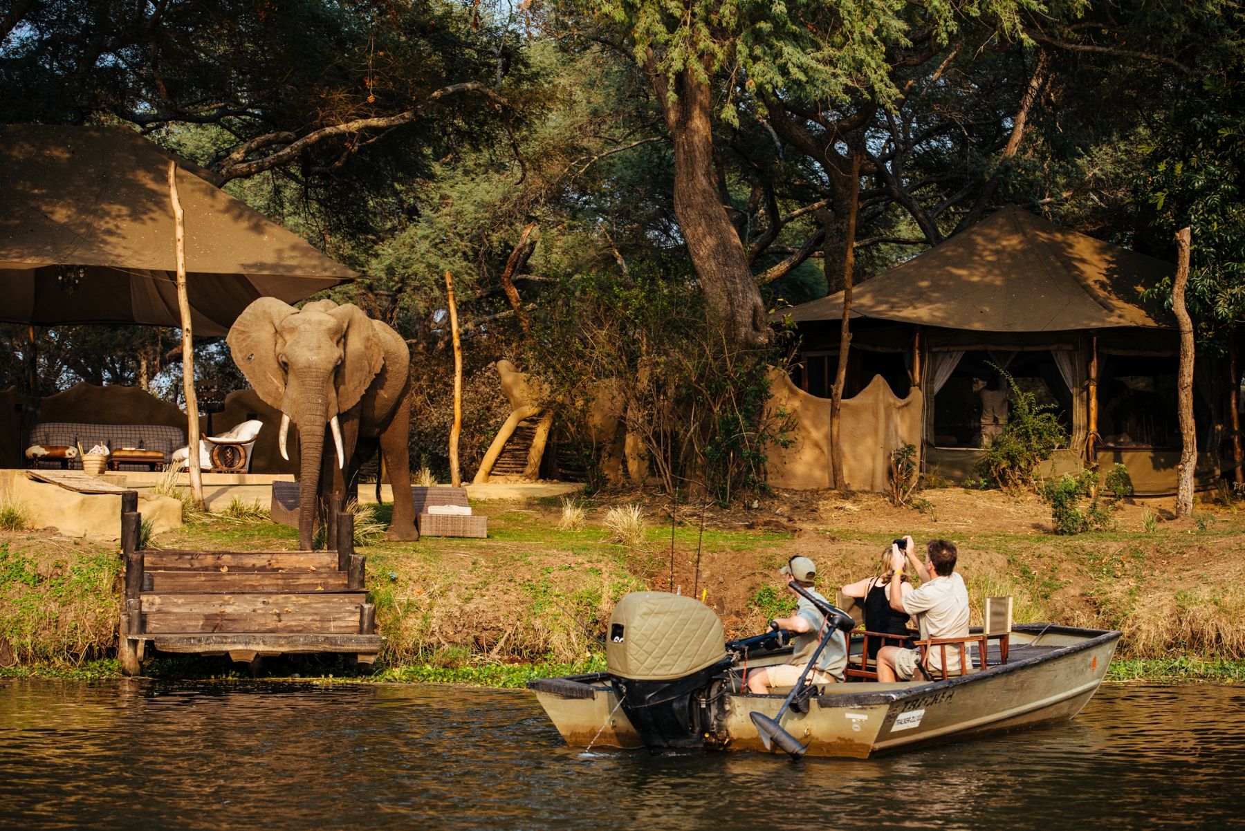 An elephant spotted on the banks of Chongwe River Camp in Zambia