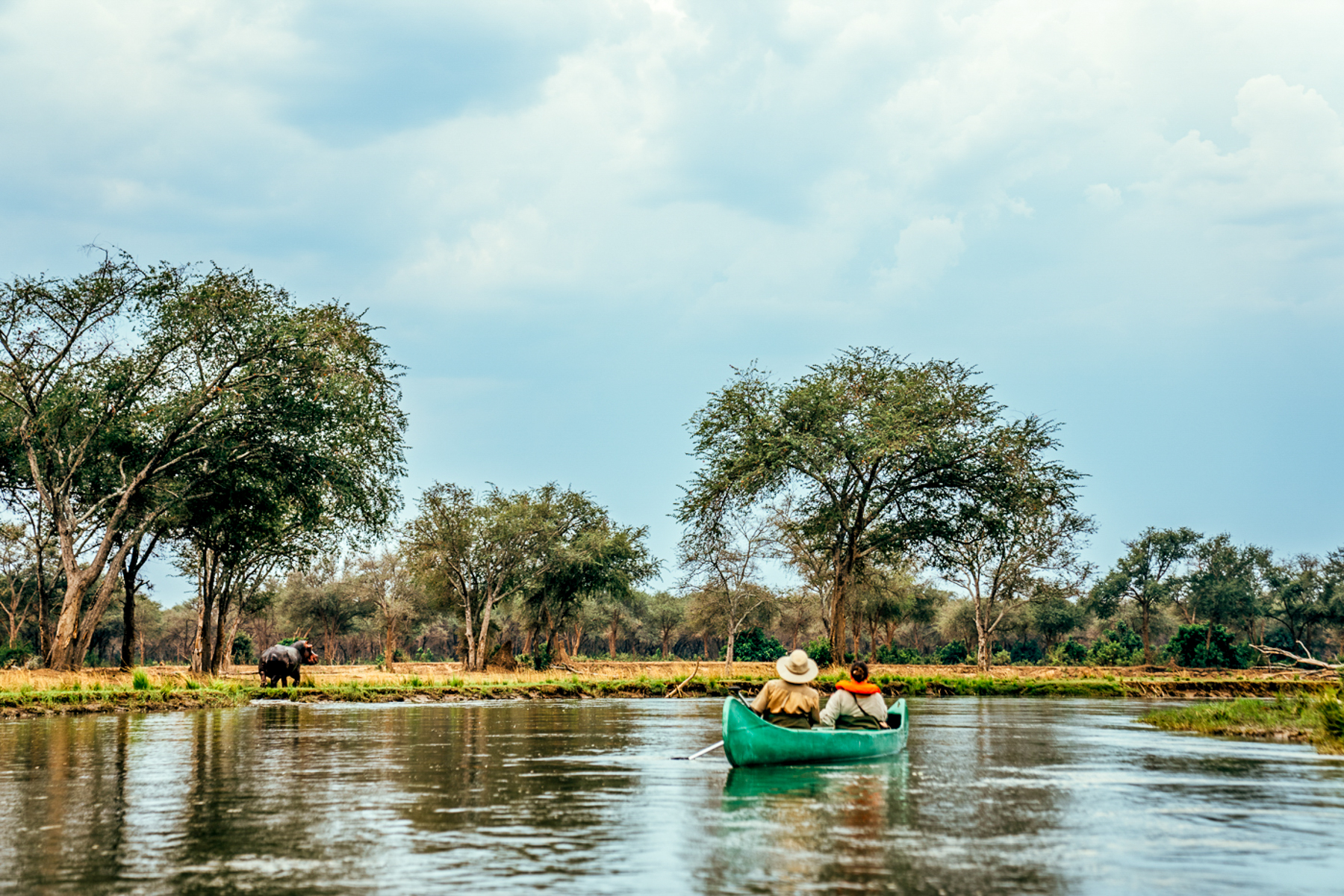 Canoeing at Dulini Anabezi in the Lower Zambezi National Park