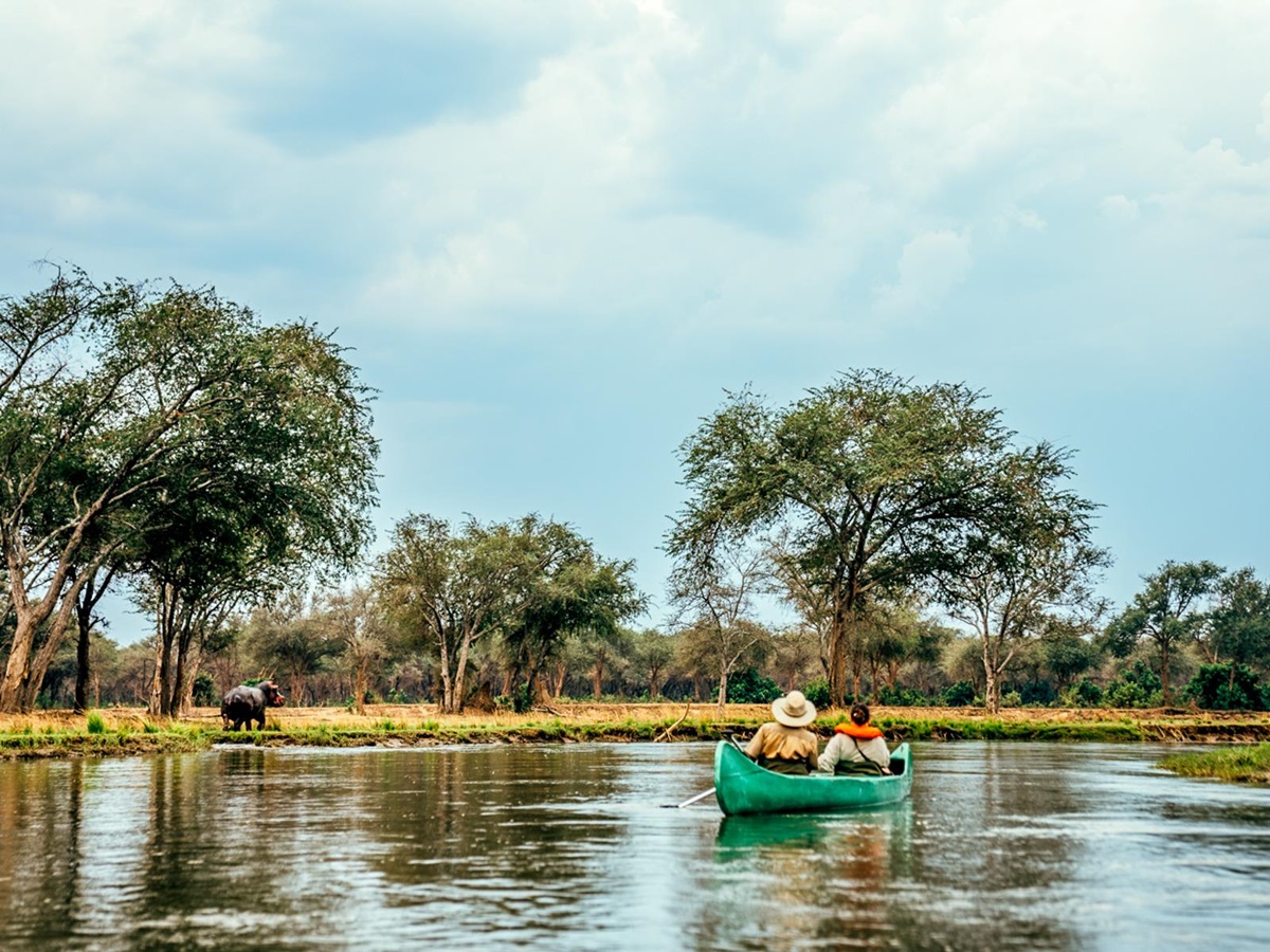 Canoeing at Dulini Anabezi in the Lower Zambezi National Park