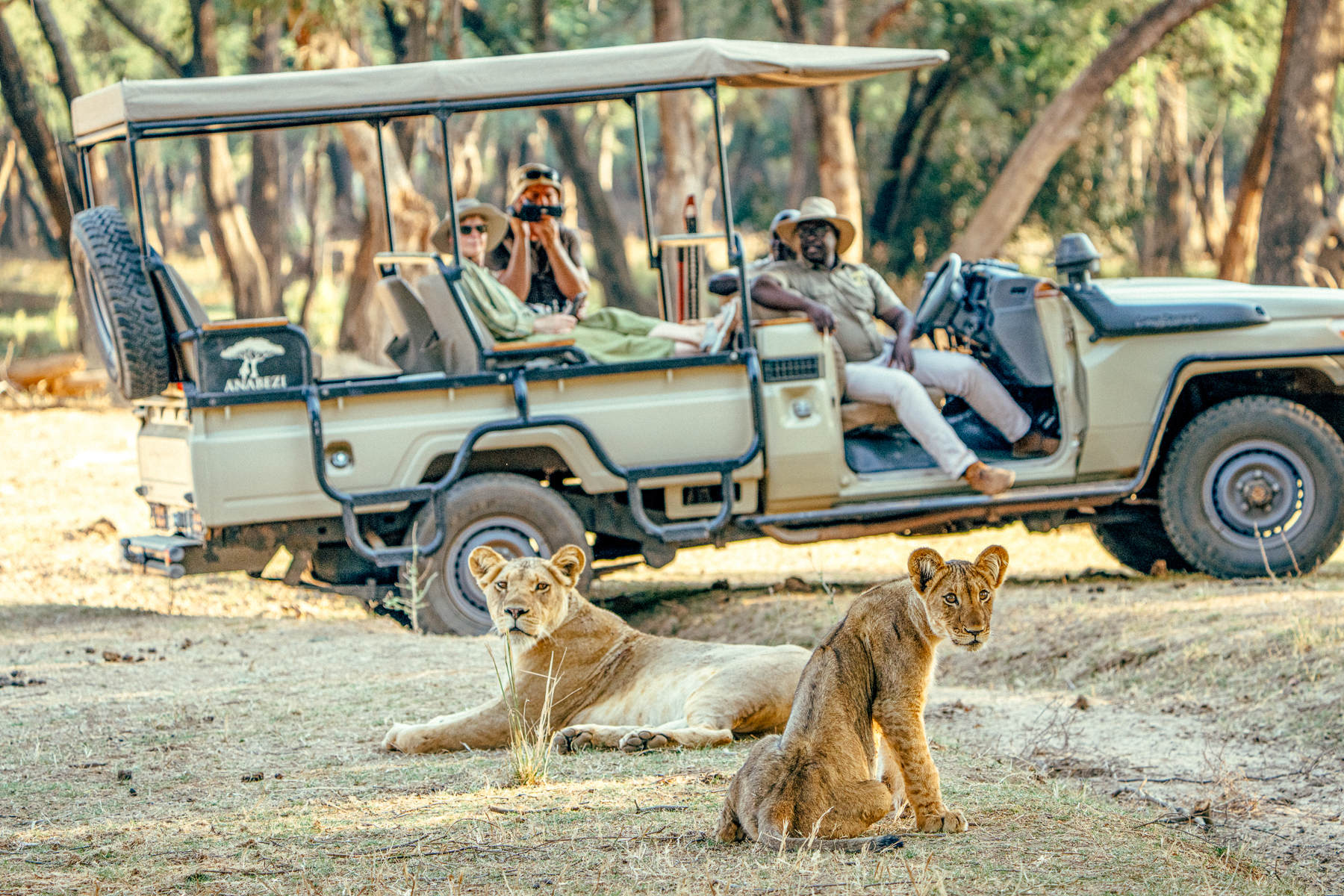 Game drive viewing lions at Dulini Anabezi in the Lower Zambezi National Park