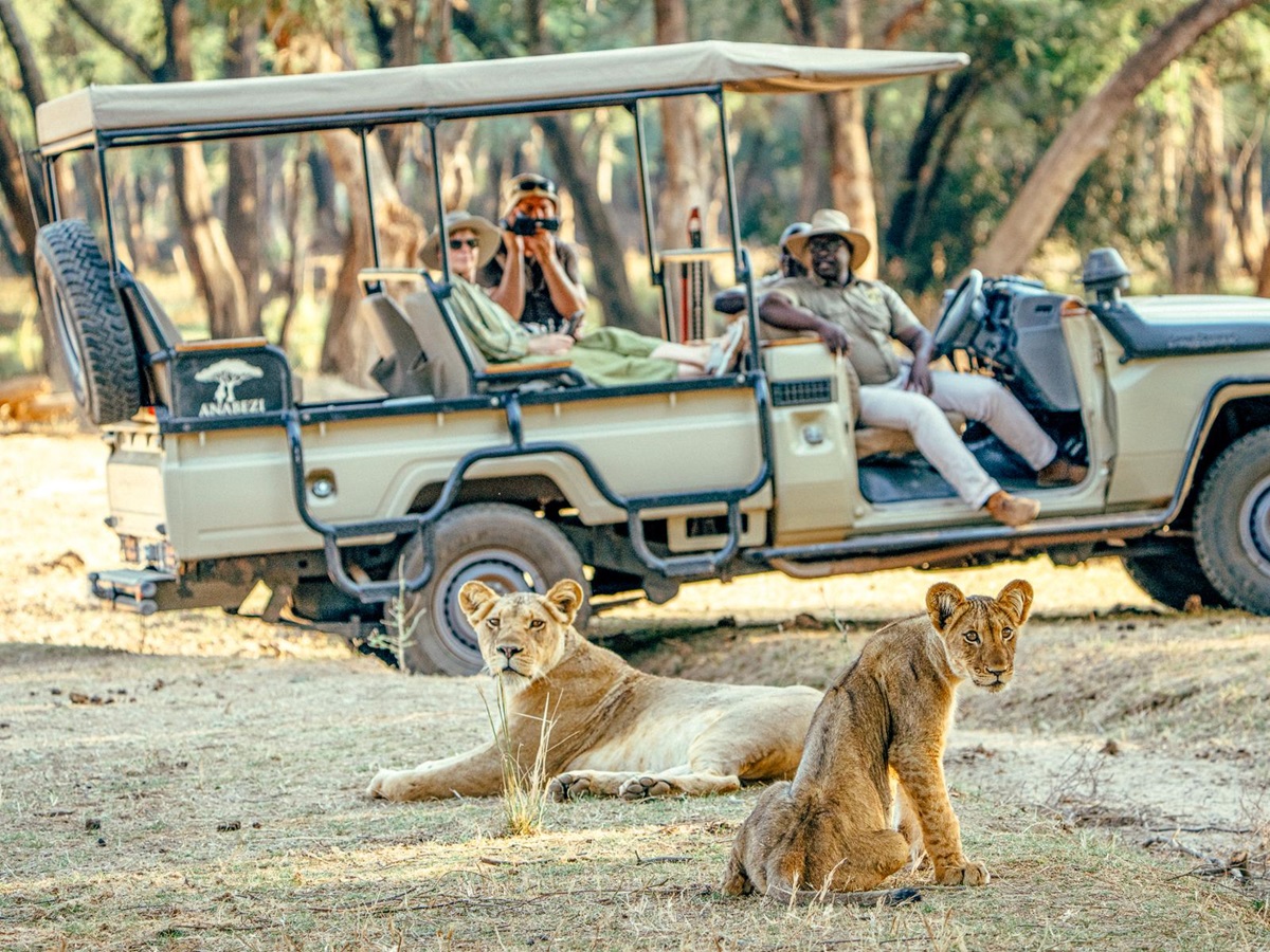 Game drive viewing lions at Dulini Anabezi in the Lower Zambezi National Park