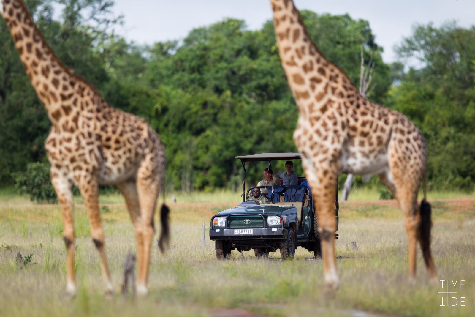 Guests spotting giraffes on a game drive at luxury safari camp Kakuli Bush Camp in Zambia's South Luangwa National Park