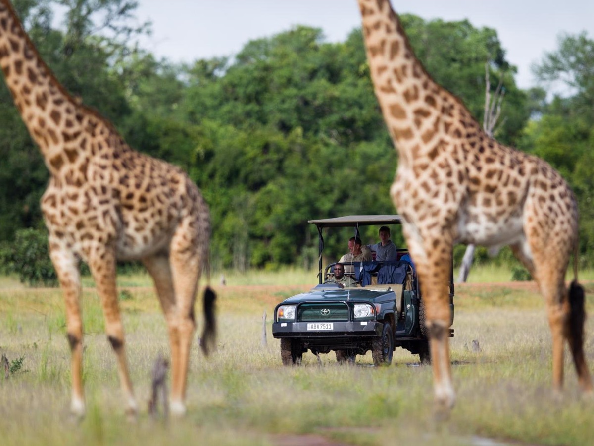 Guests spotting giraffes on a game drive at luxury safari camp Kakuli Bush Camp in Zambia's South Luangwa National Park