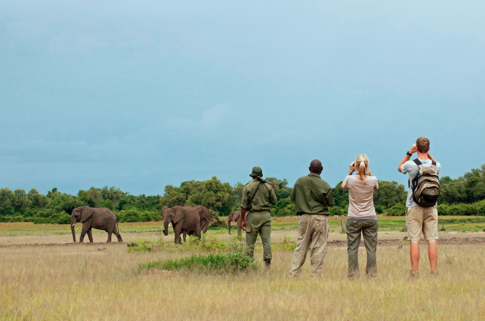 Guests watching elephants while on a guided walk at luxury safari camp Luwi Bush Camp in Zambia