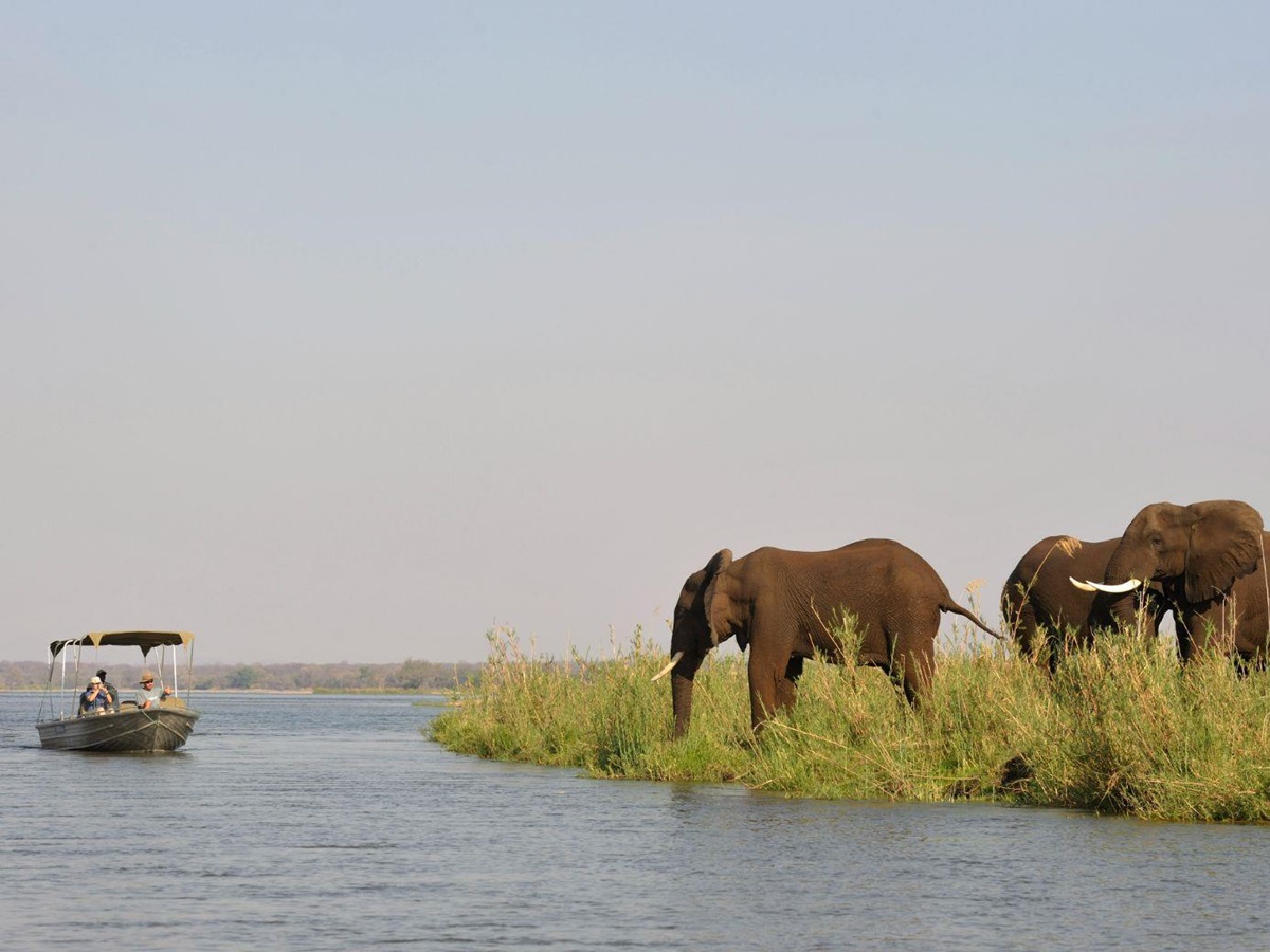 Elephants spotted on a river safari on the grounds of Old Mondoro in the Lower Zambezi National Park