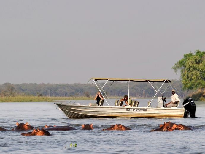 Hippos spotted on a river safari at Old Mondoro in the Lower Zambezi National Park