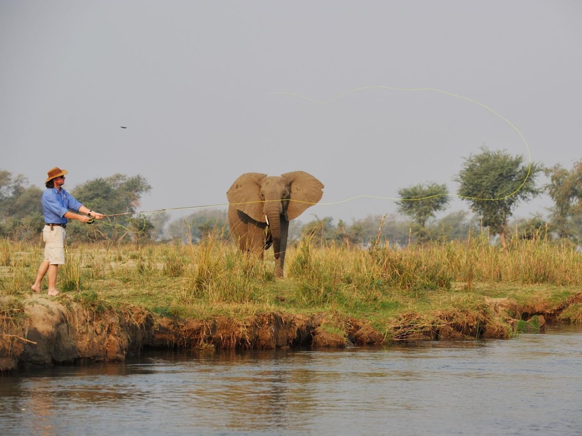 Fishing in the Zambezi on the grounds of Potato Bush Camp