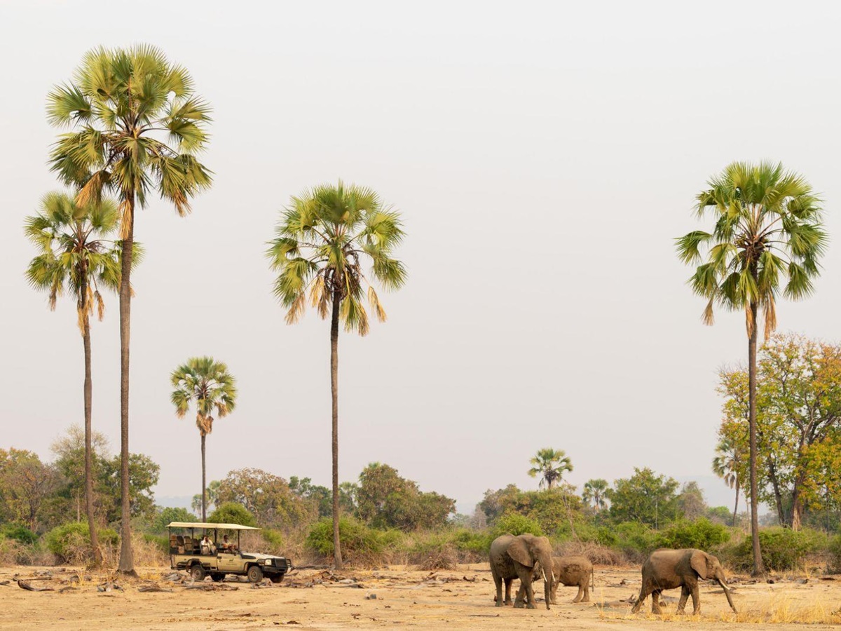 Game drive spots elephants at Puku Ridge camp in the South Luangwa National Park