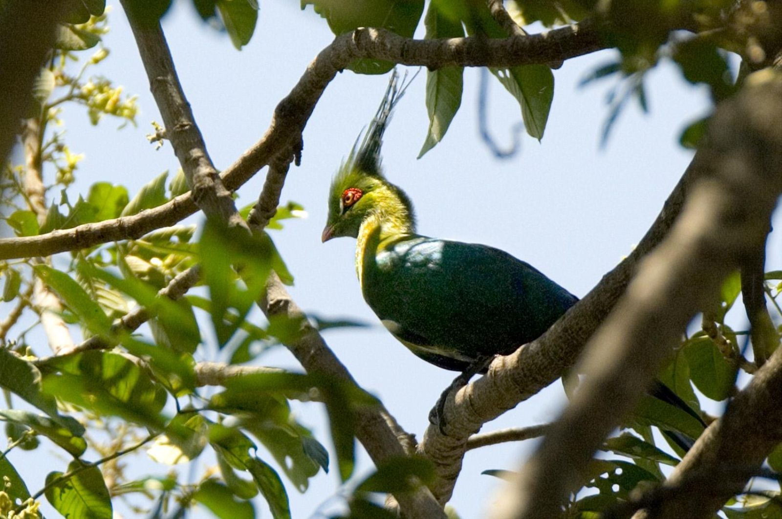 Bird watching at The River Club, Livingstone