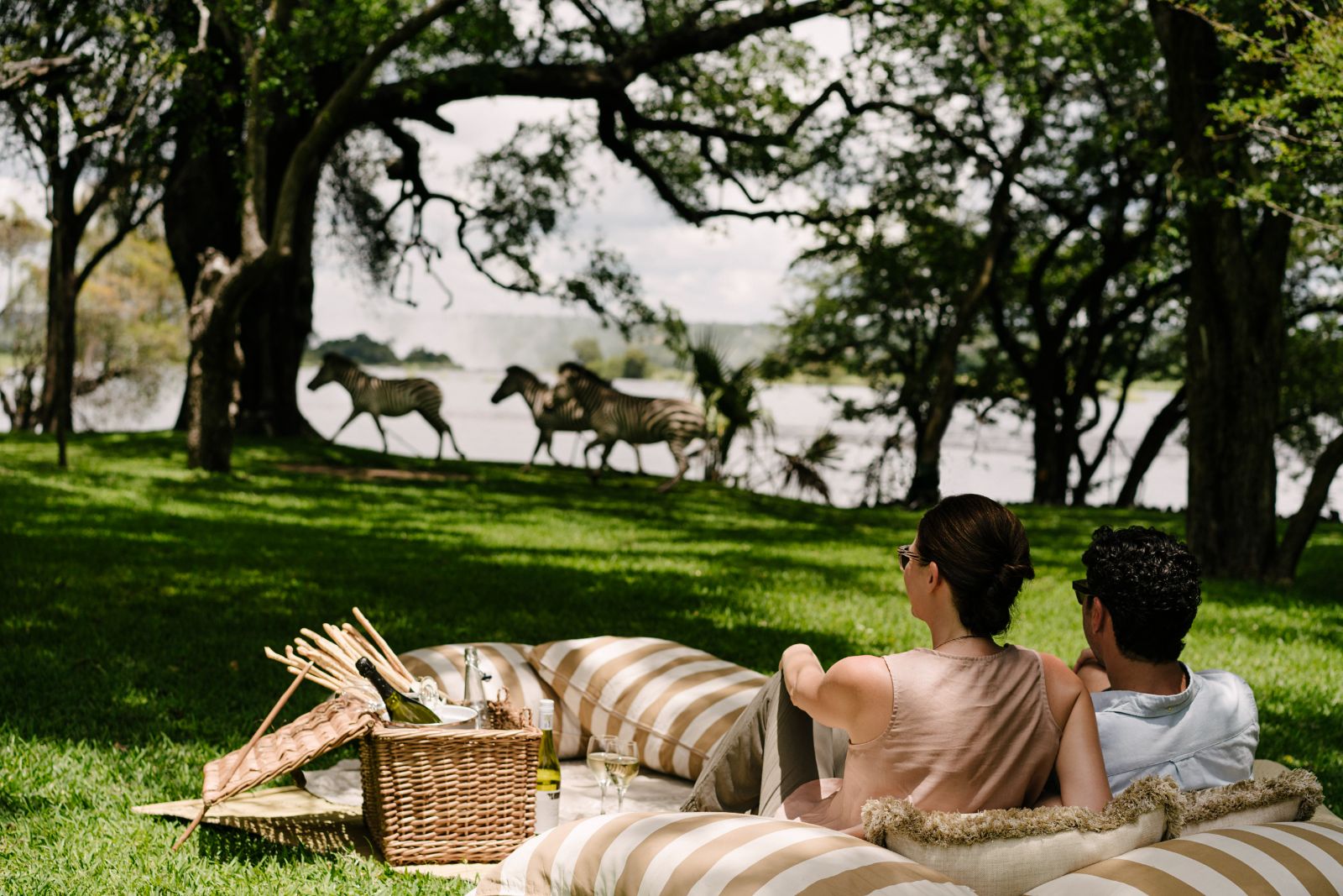 Zebras spotted on the grounds of The Royal Livingstone at Victoria Falls in Zambia