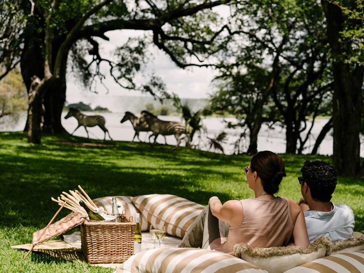 Zebras spotted on the grounds of The Royal Livingstone at Victoria Falls in Zambia