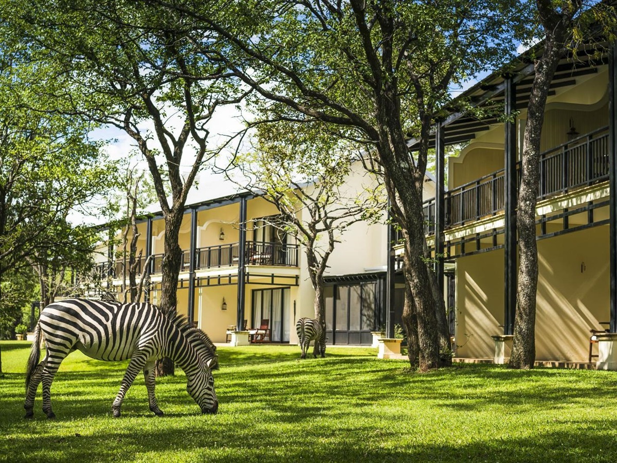 Zebras outside accommodation at The Royal Livingstone at Victoria Falls in Zambia