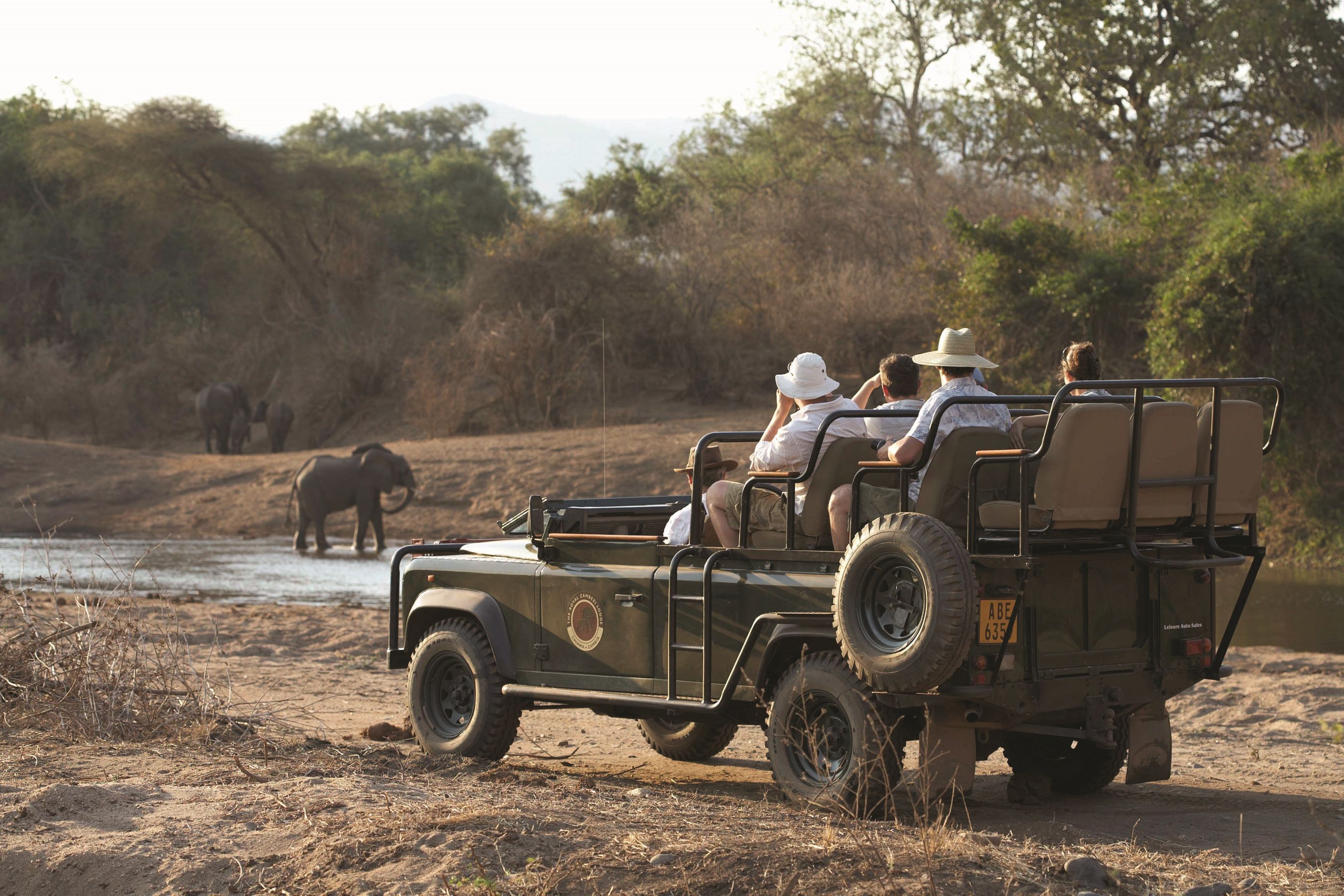 Game drive organised by The Royal Zambezi Lodge