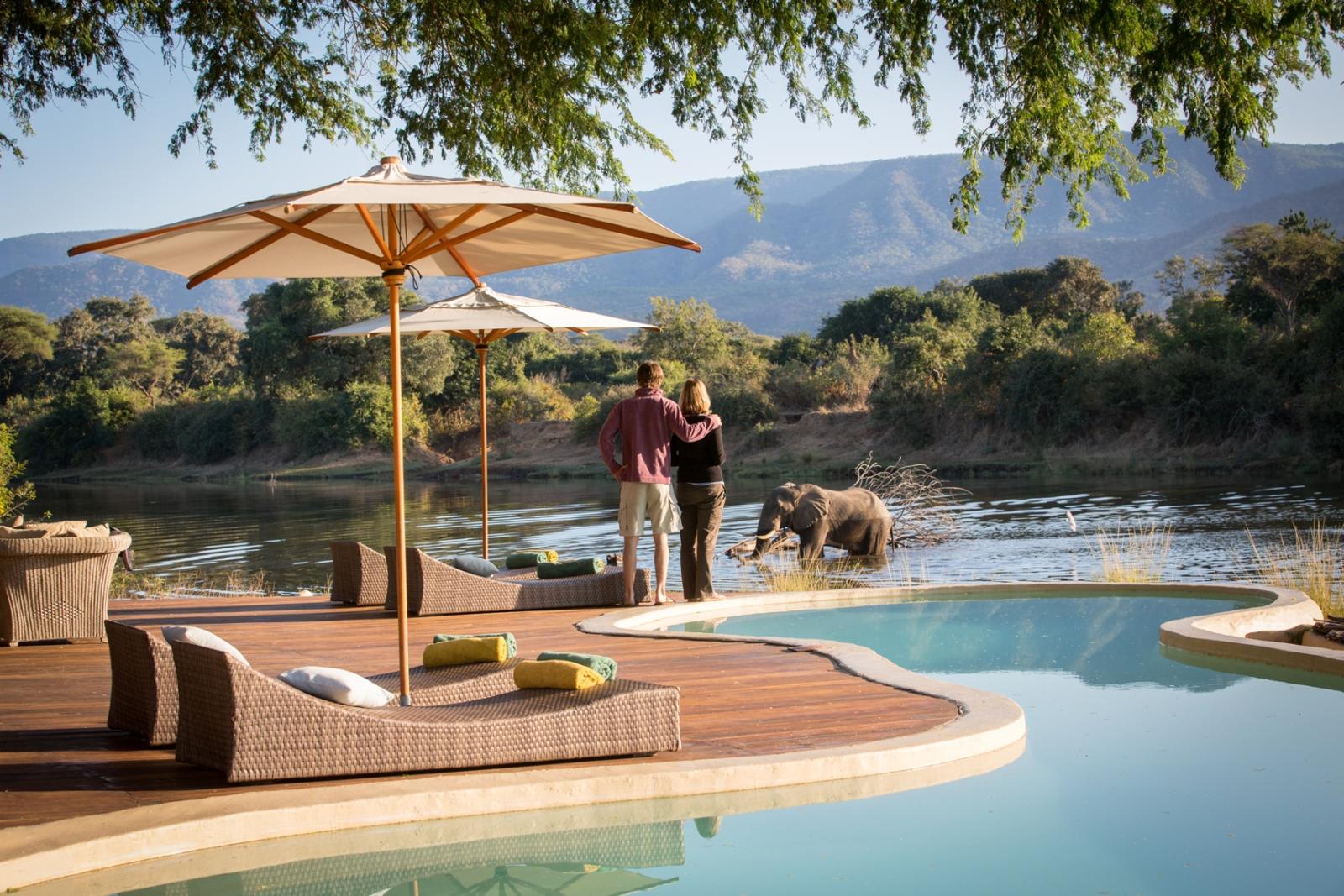 Umbrellas and sunbeds by the pool  at Chongwe River House