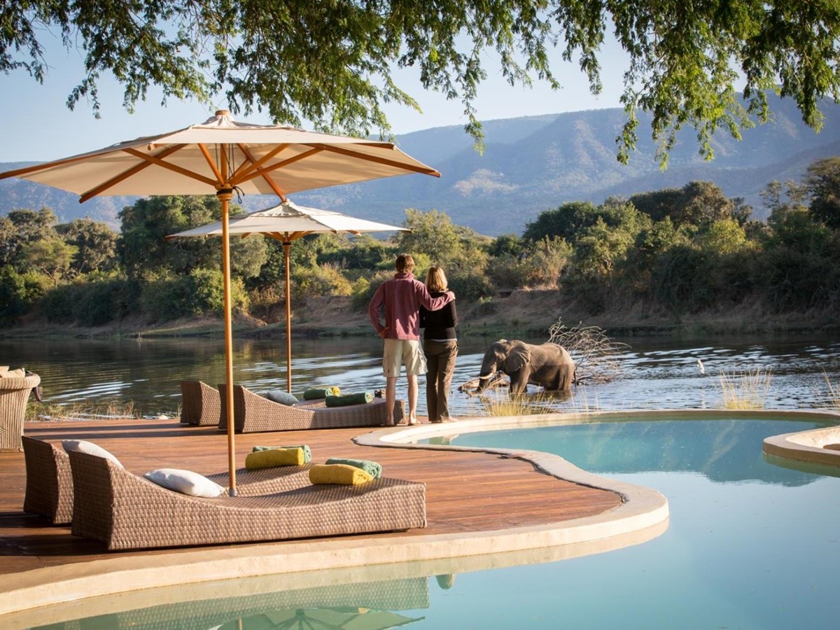Umbrellas and sunbeds by the pool at Chongwe River House
