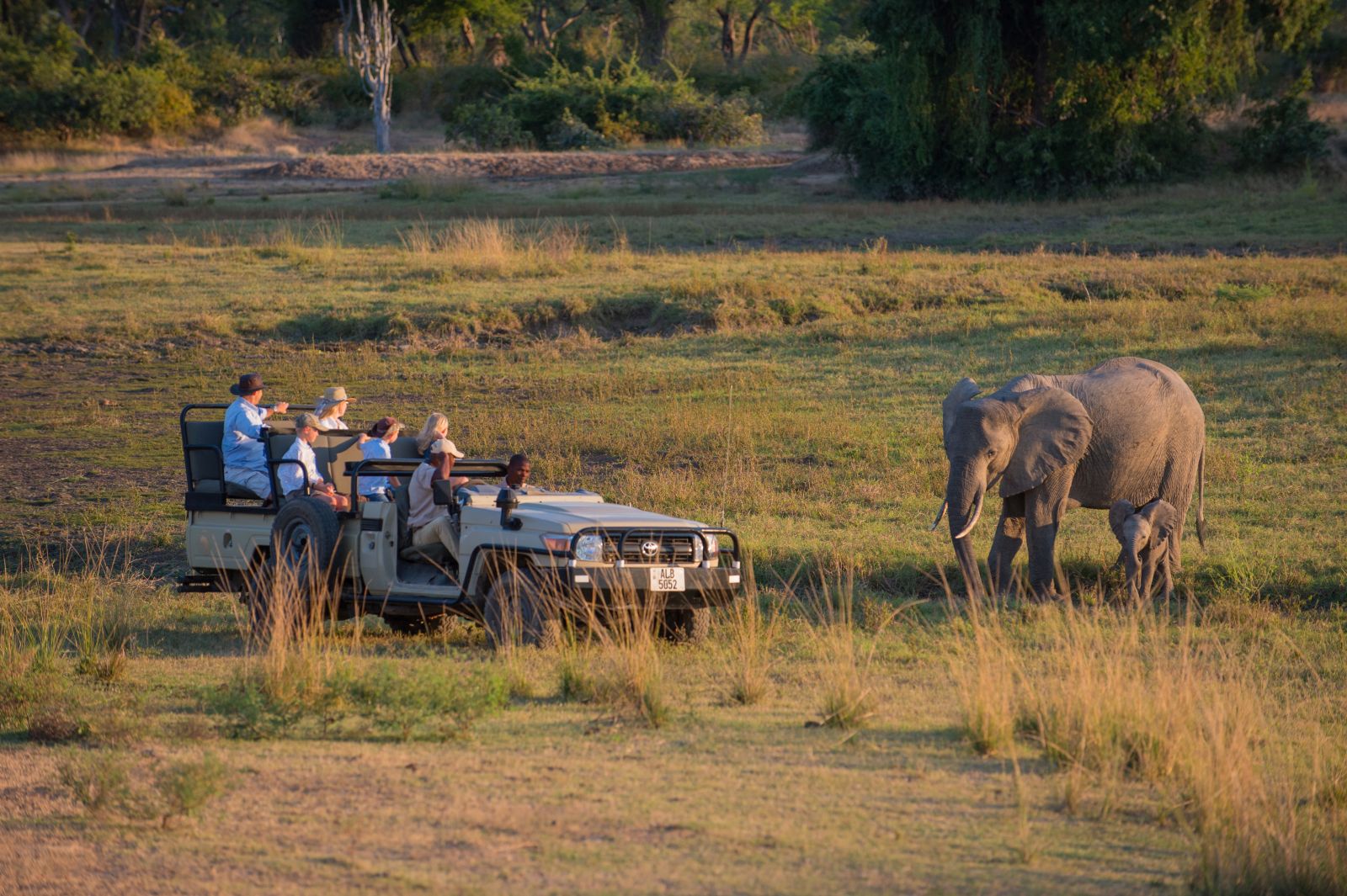 Family observing an elephant in a game drive from the Luangwa Safari House in Zambia