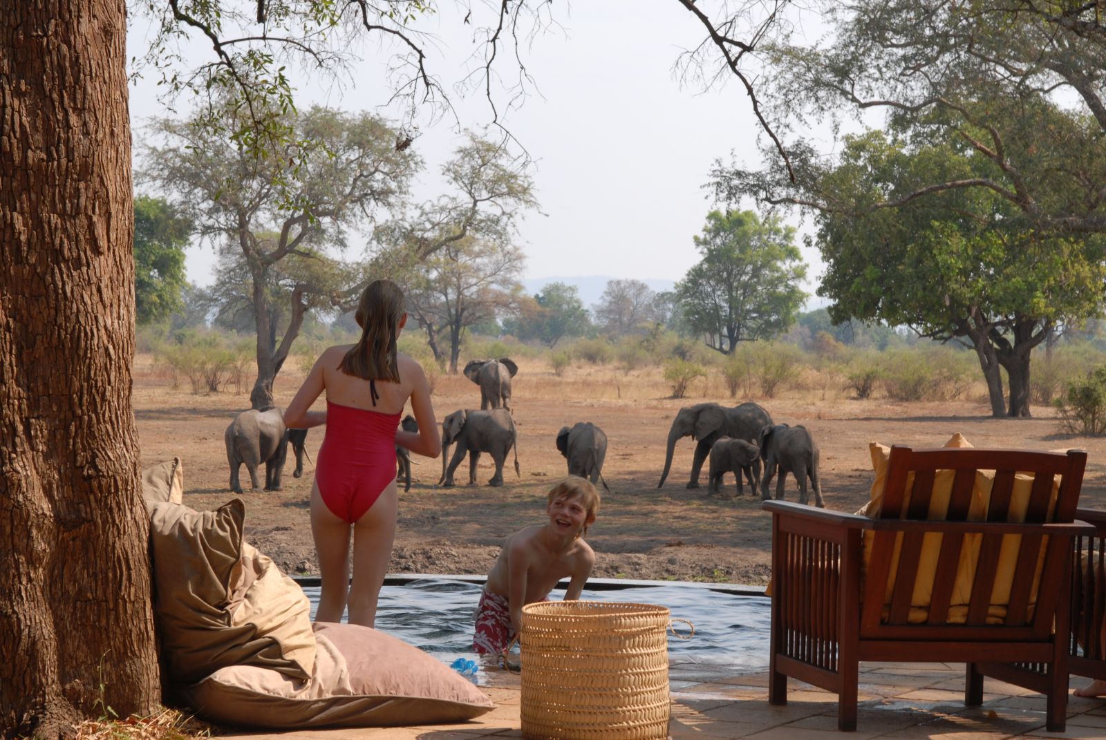 Children watching elephants near the pool at the Luangwa Safari House in Zambia