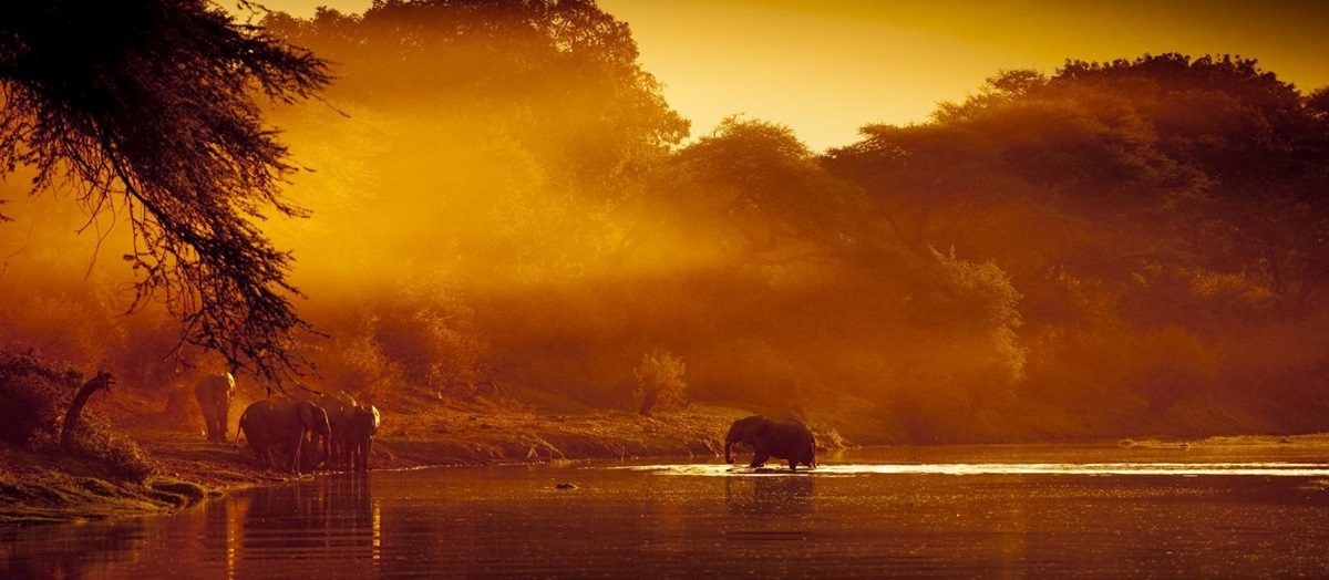 Elephant bathing near the Kasaka River Lodge, Zambia