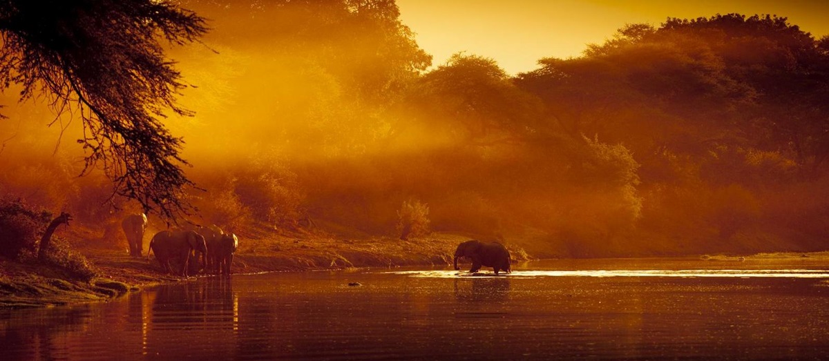 Elephant bathing near the Kasaka River Lodge, Zambia