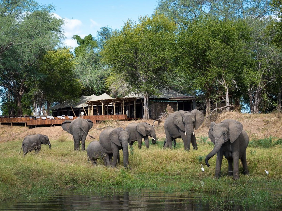 Elephants drinking at lake on safari at luxury camp Ruckomechi