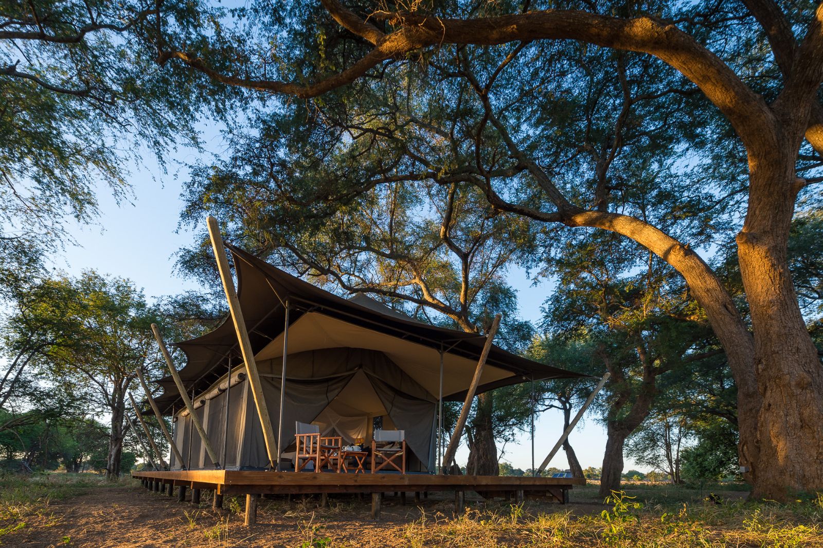 Exterior of tented room with decking area at luxury camp Ruckomechi