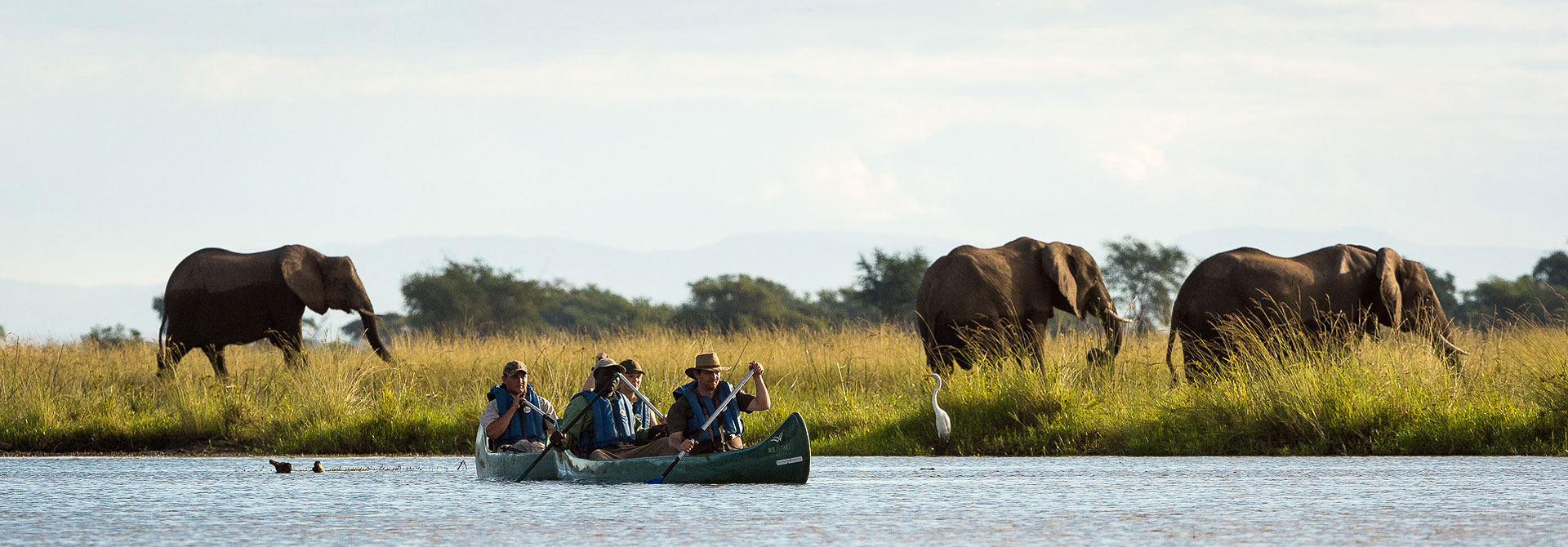The wildlife close to Ruckomechi 