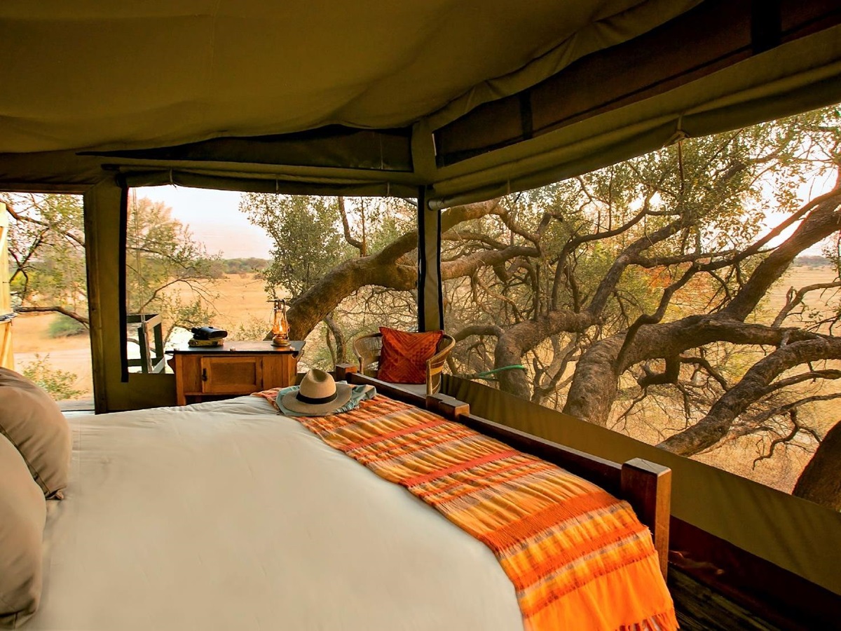 Romantic Doves Nest treehouse at The Hide safari lodge Zimbabwe