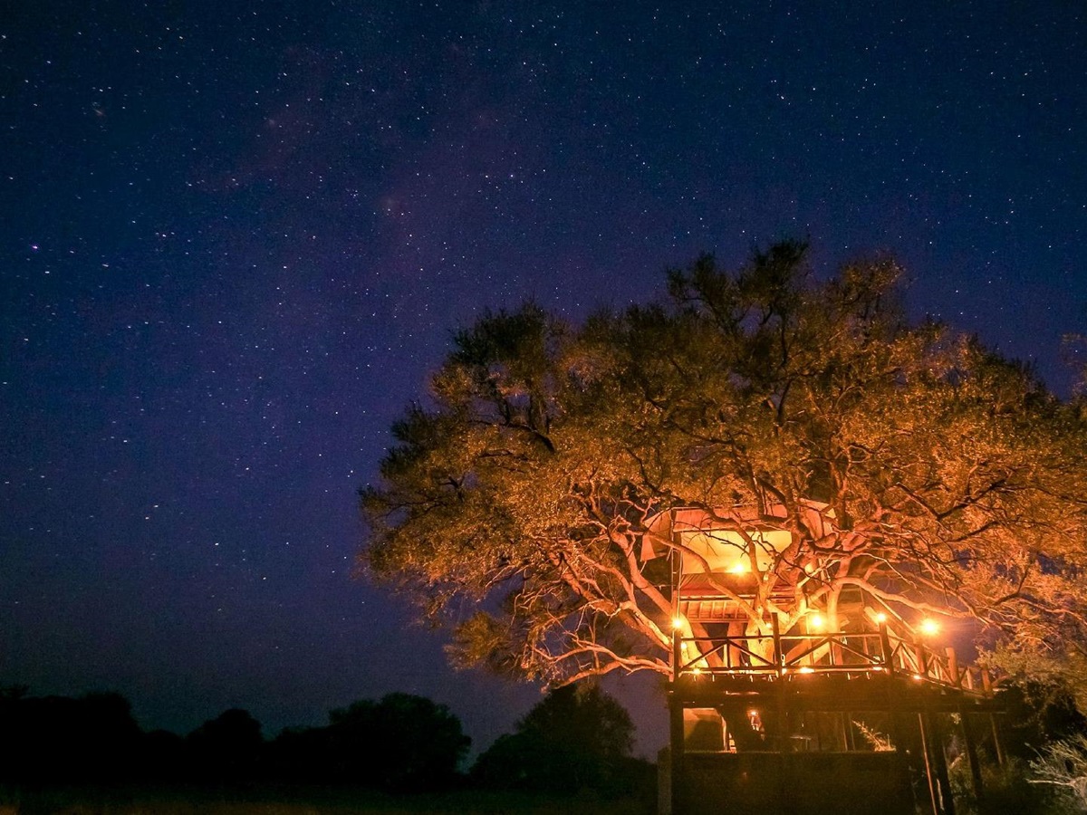 Doves Nest treehouse and starry night sky at The Hide safari lodge Zimbabwe