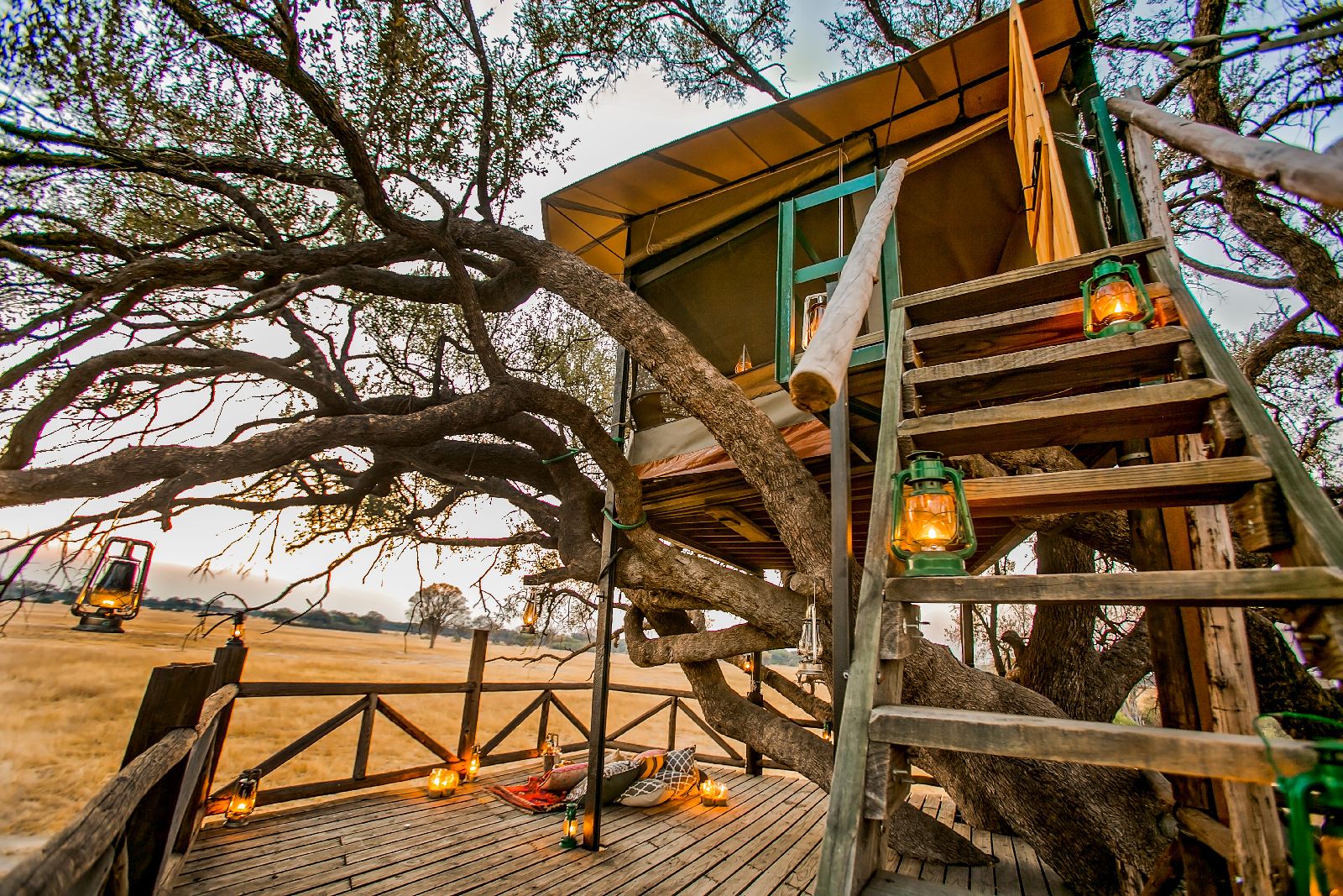 Steps up to the Doves Nest treehouse at The Hide safari lodge Zimbabwe