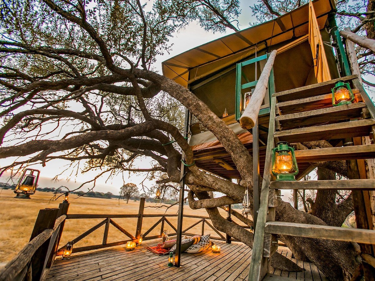 Steps up to the Doves Nest treehouse at The Hide safari lodge Zimbabwe
