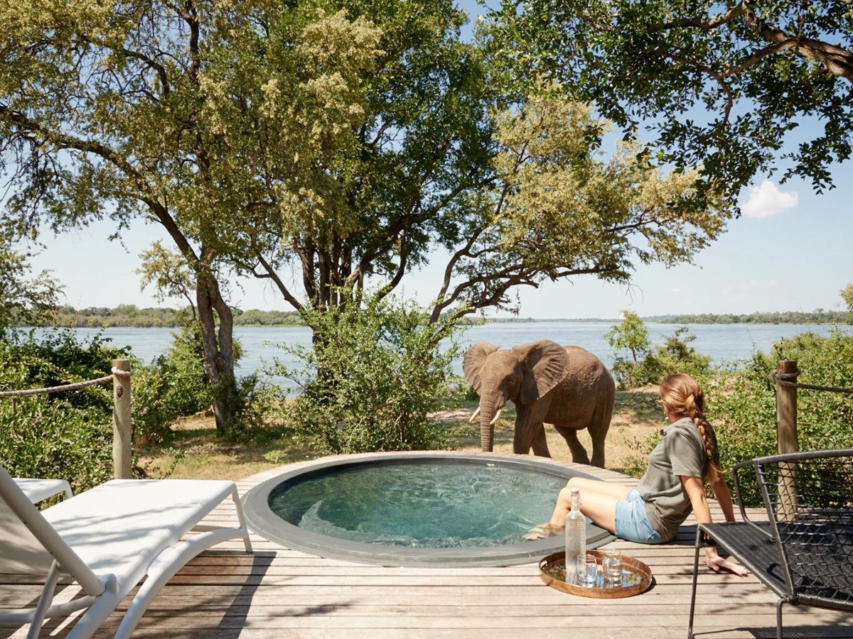 An elephant near a jacuzzi on the grounds of Victoria Falls River Lodge in Zambezi National Park in Zimbabwe