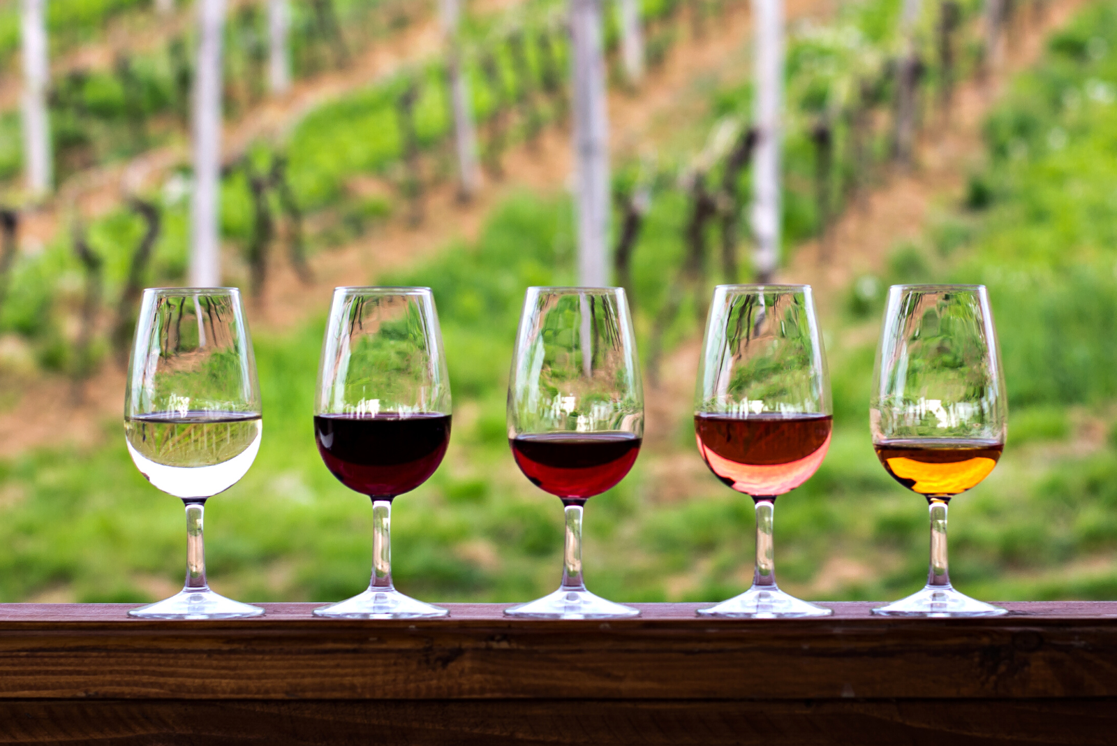 A variety of flavours wine tasting