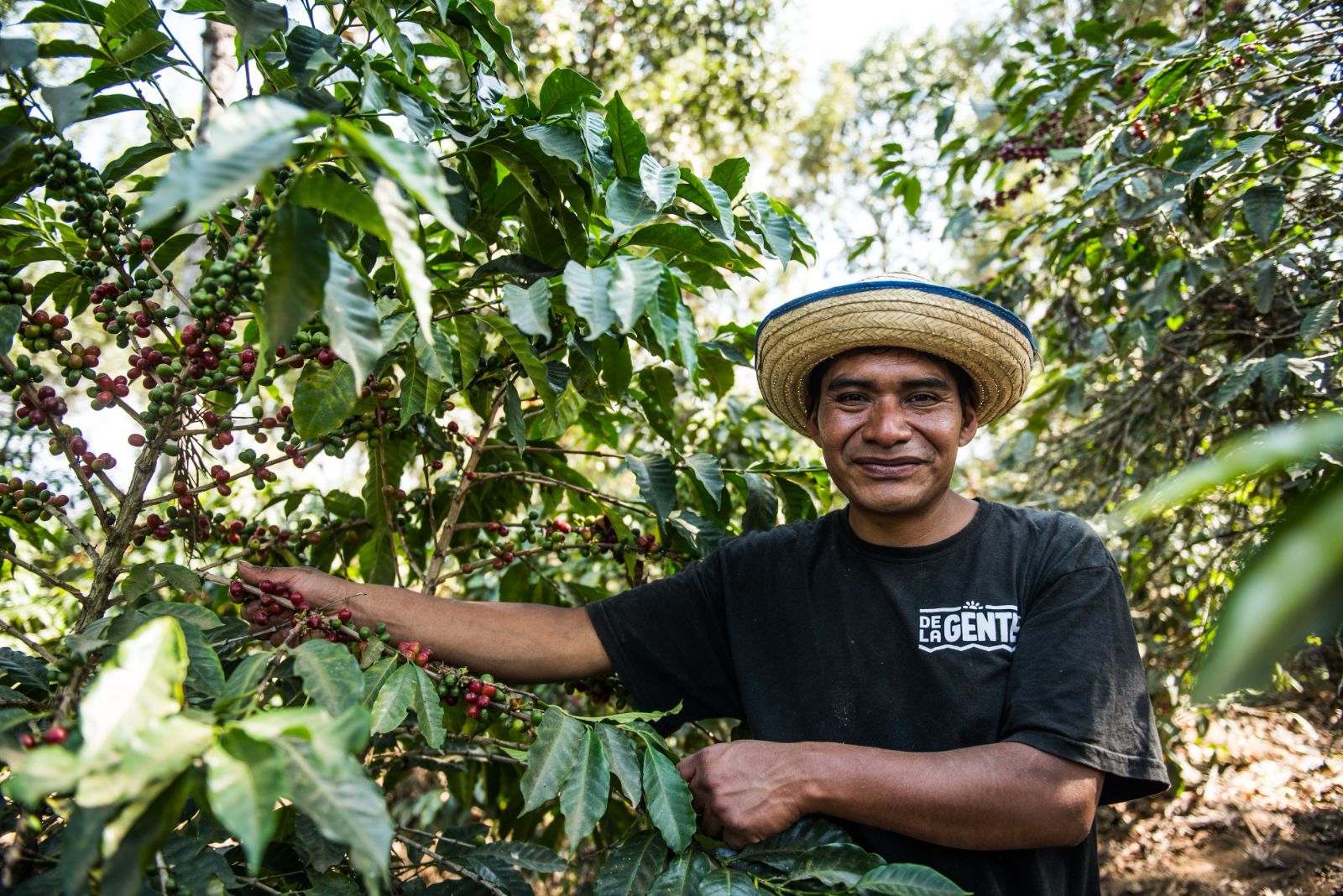 A fair trade coffee tour in Guatemala