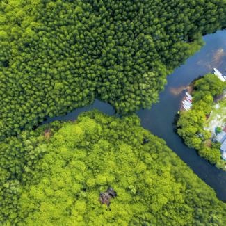 Aerial view of tropical forests and waterway in Indonesia