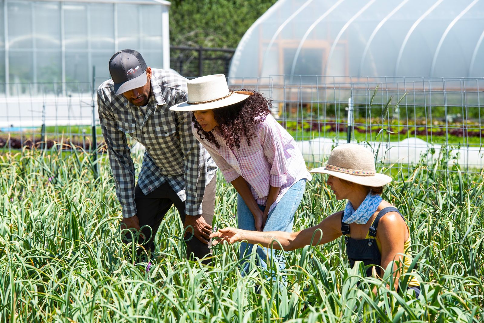 Farm experience at the Lodge at Blue Sky