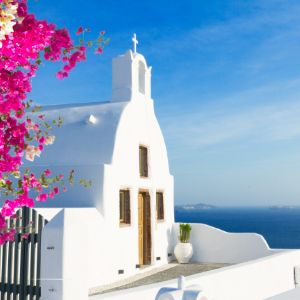 Flowers against a white house in Santorini