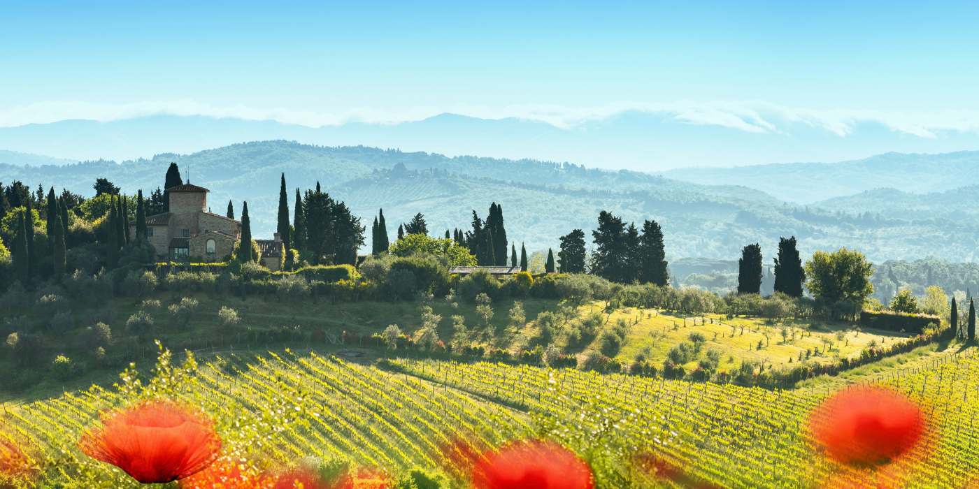 Chianti Landscape